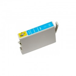 Epson T0422